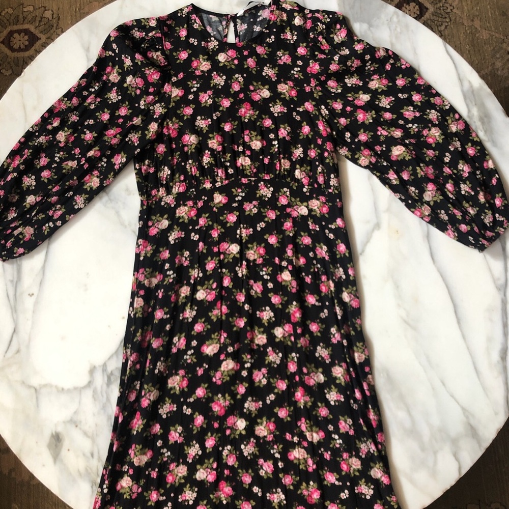 Zara Pink Rose Dress size Small